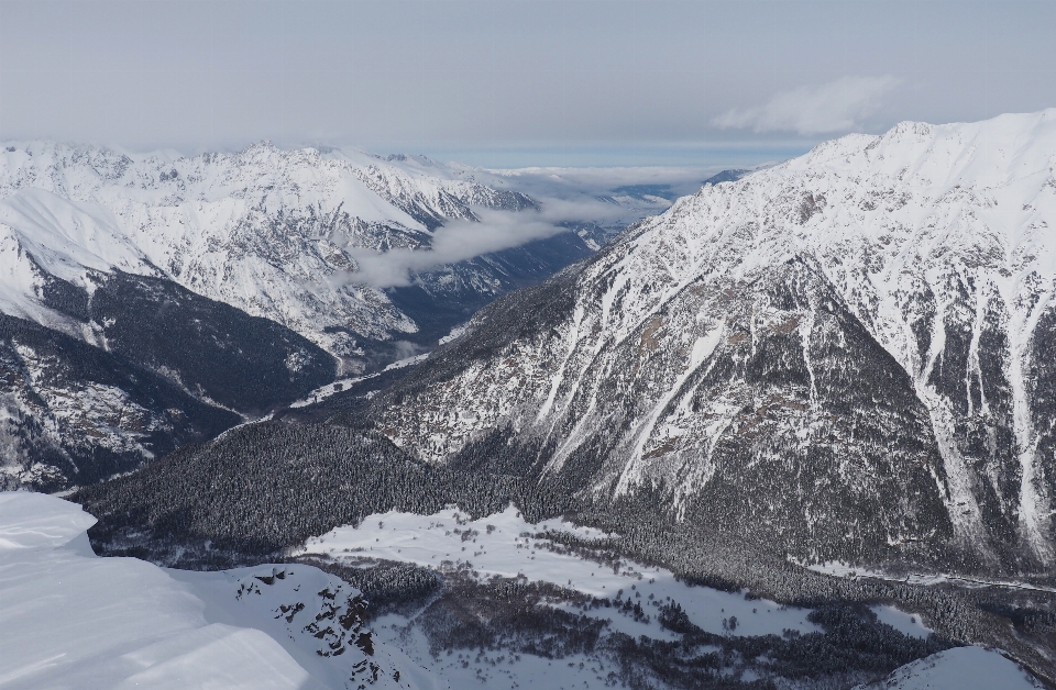 Foresta rock montagna nevicare