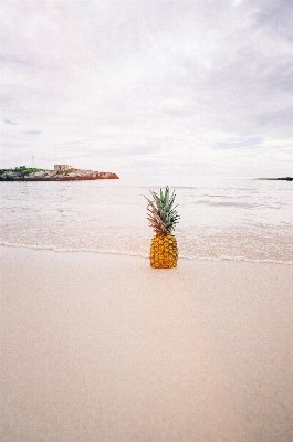 ビーチ 海 海岸 砂 写真