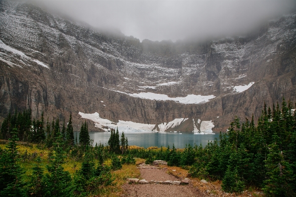 Landscape tree forest wilderness Photo