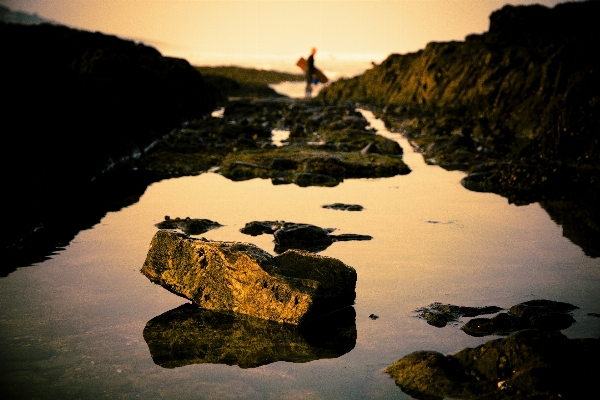 Beach sea coast water Photo