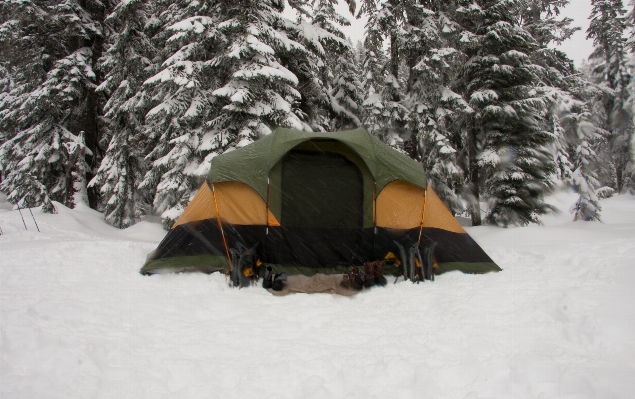 Snow winter weather camping Photo