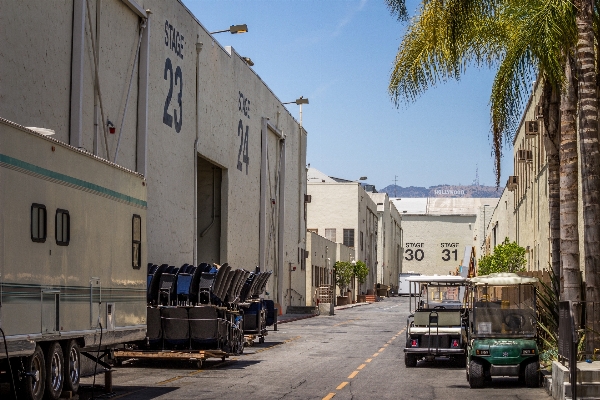 Road street palm tree town Photo