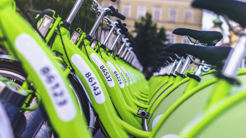 Bicicletta verde veicolo attrezzatura sportiva
