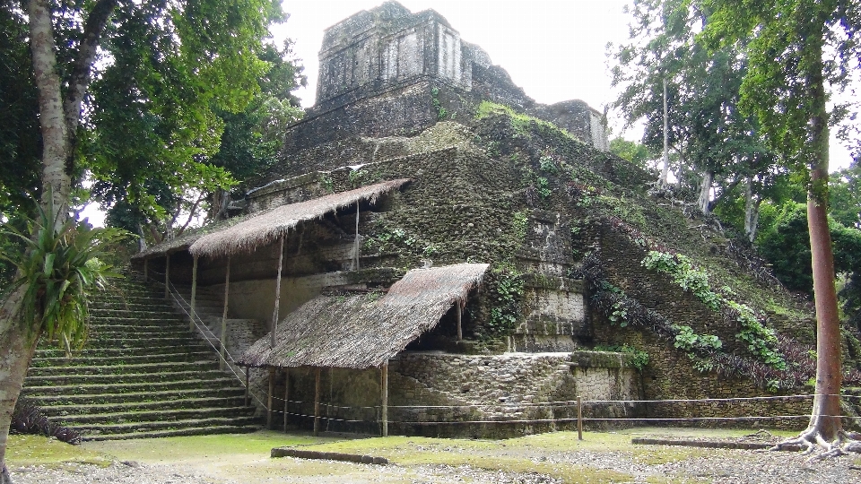 Edificio cabaña aldea selva