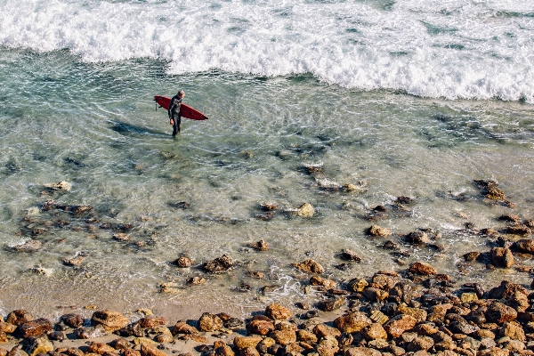 Beach sea coast water Photo