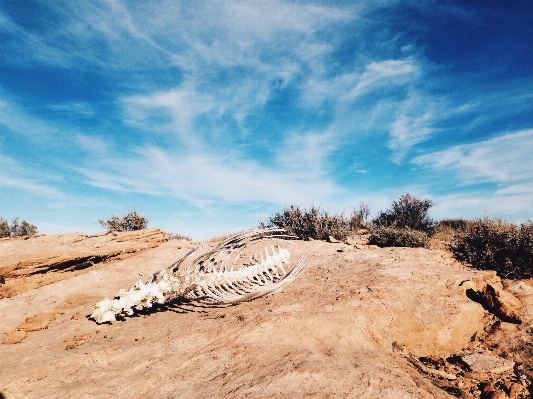 Landscape sea sand rock Photo