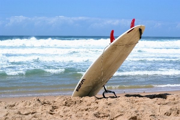 Beach sea coast sand Photo