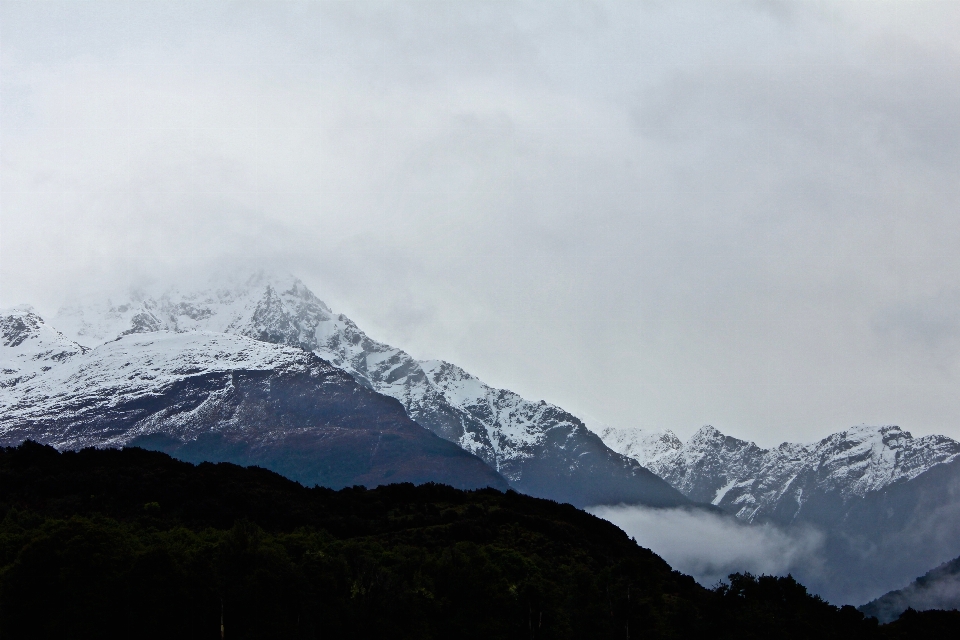 Montaña nieve nube niebla