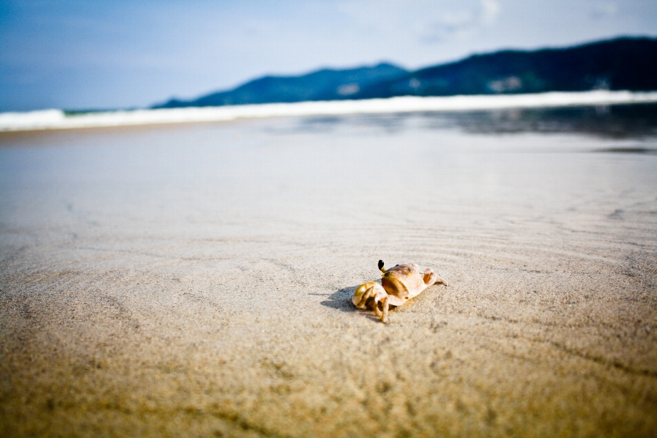 Praia mar costa água