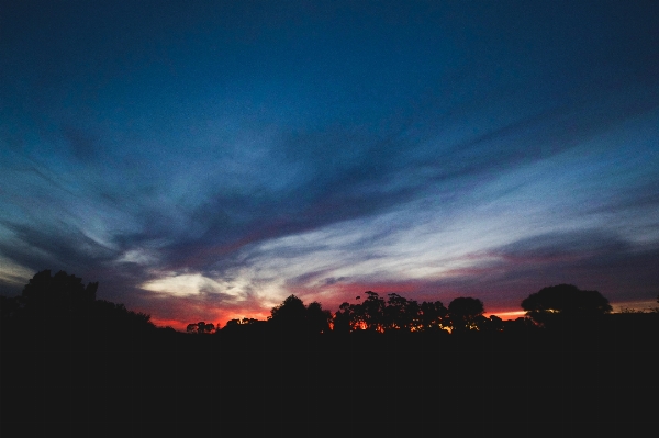 Tree horizon silhouette cloud Photo