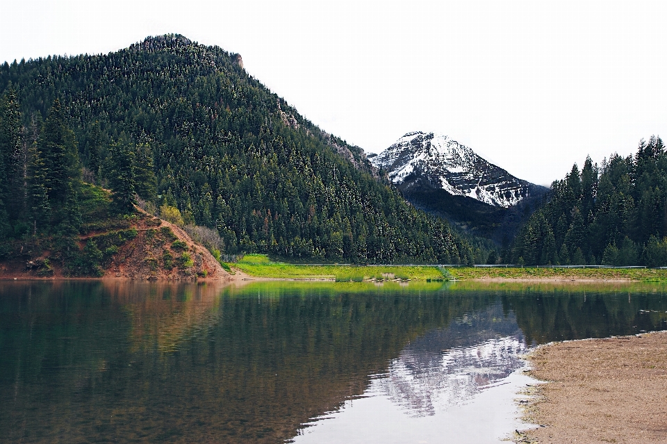 Paisagem árvore floresta região selvagem
