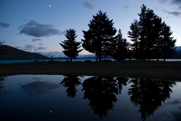 Tree nature wilderness mountain Photo