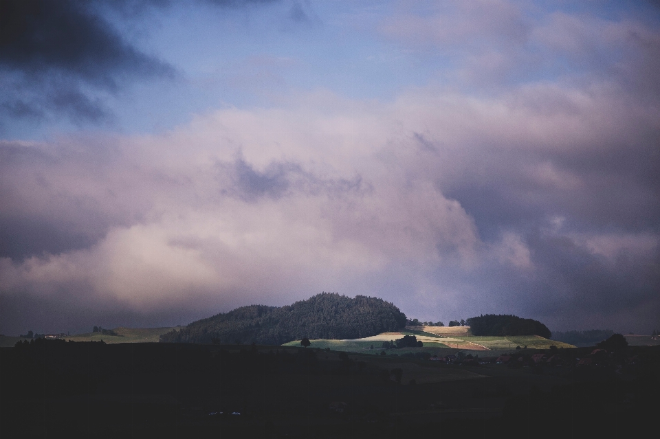 Landschaft meer baum wald