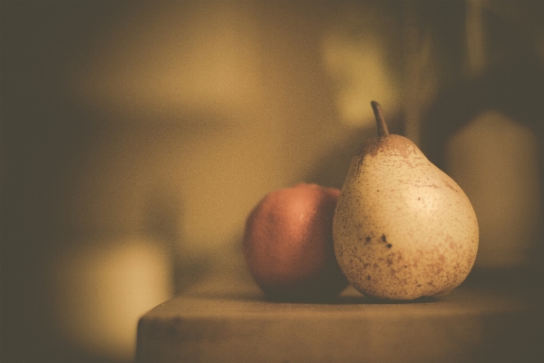 Light plant fruit morning Photo