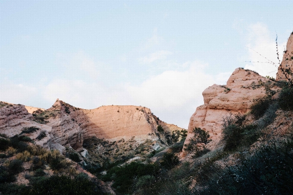 Landscape tree rock wilderness Photo