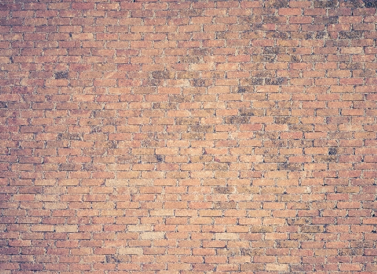 Texture floor wall brick Photo