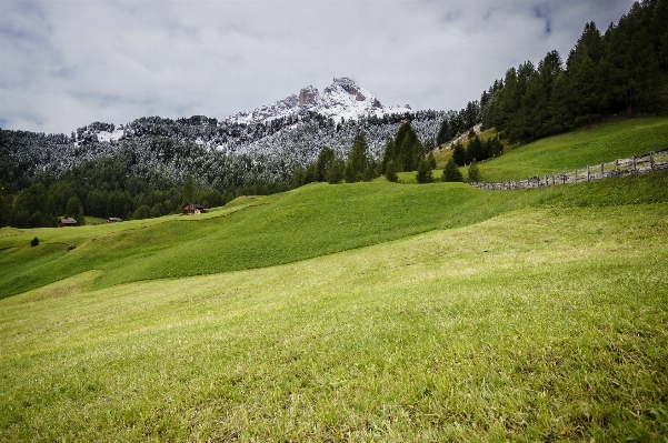 Landscape tree grass mountain Photo