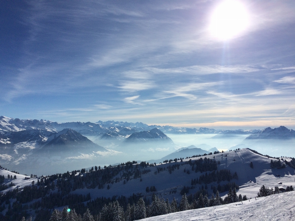 Baum berg schnee winter