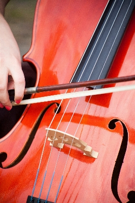 Red musical instrument bowed string cello Photo