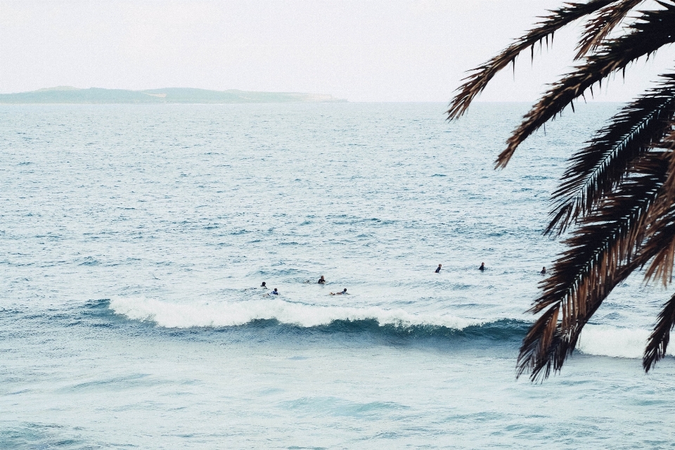 Beach sea coast ocean