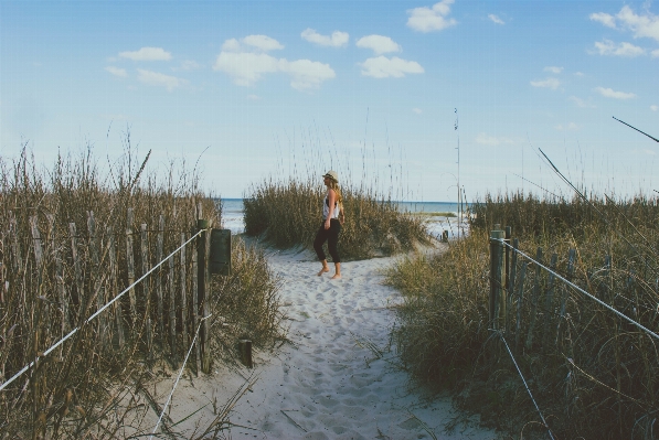 Beach sea coast water Photo