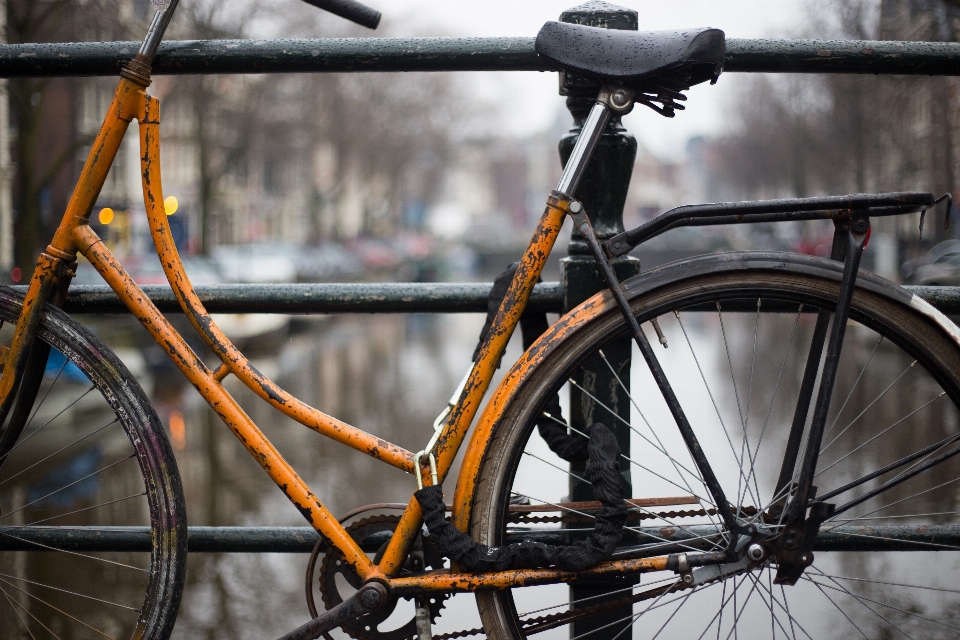 Cerca rueda bicicleta canal
