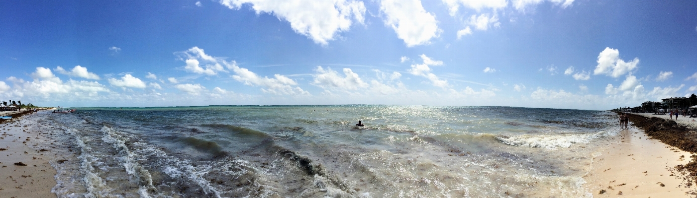 Beach sea coast shore Photo