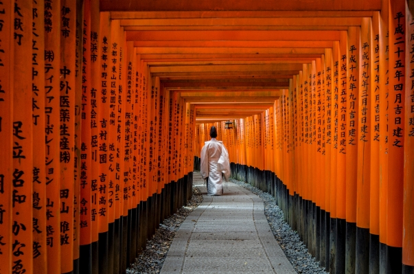 建築 木 壁 インテリア・デザイン
 写真