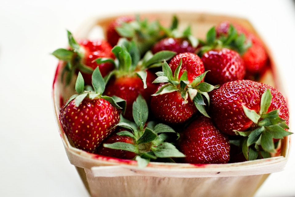 Plantar fruta baga refeição