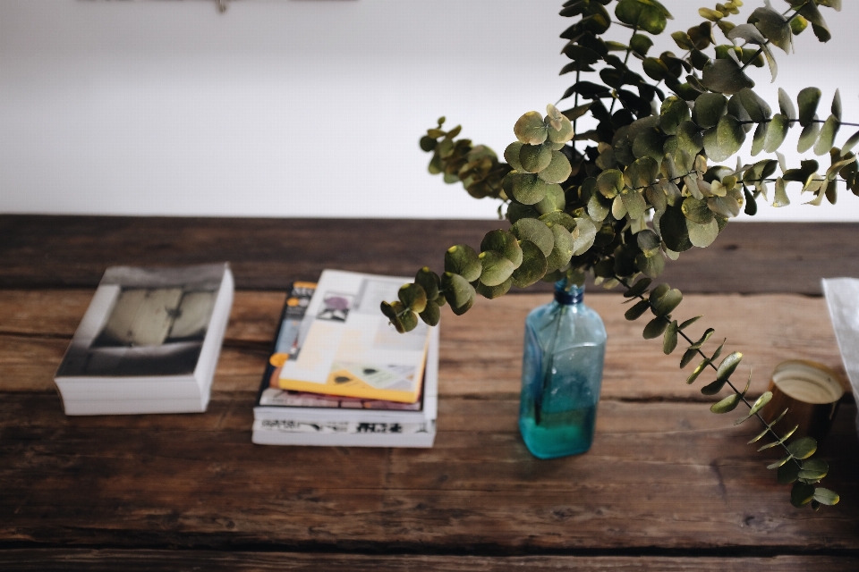 Table book plant wood