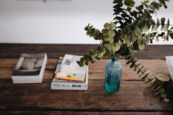 テーブル 本 植物 木 写真