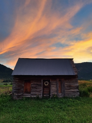 Foto Albero montagna nube cielo