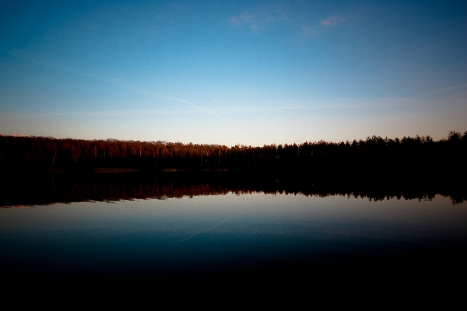 Tree water horizon cloud