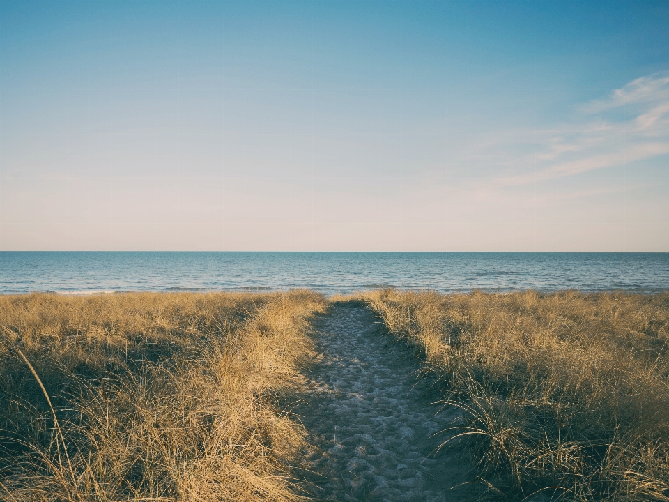 Beach landscape sea coast