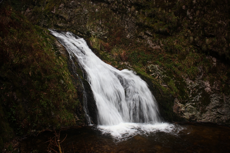 水 草 rock 滝