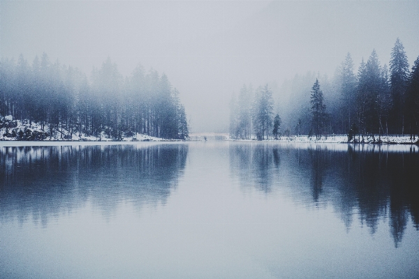 Фото дерево вода природа гора