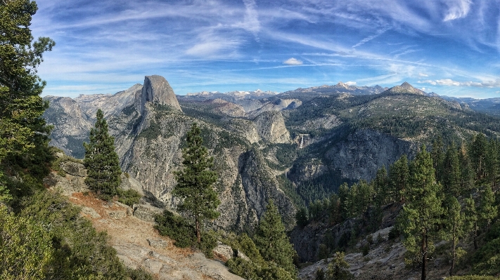 Landscape tree wilderness walking Photo