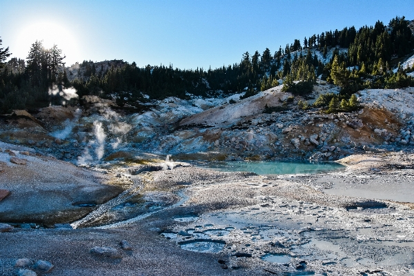 風景 海 木 水 写真