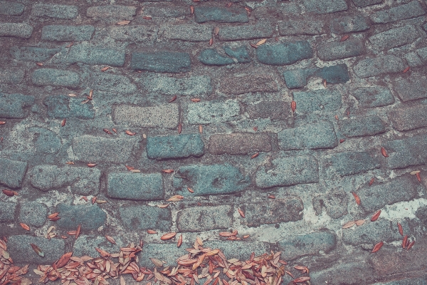 Rock doku zemin parke taşı
 Fotoğraf