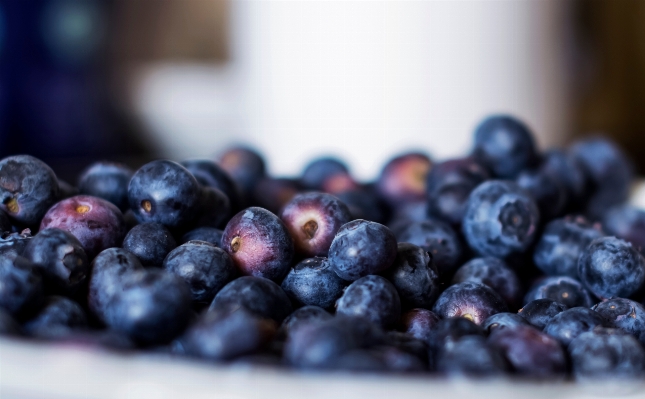 Plant fruit berry food Photo