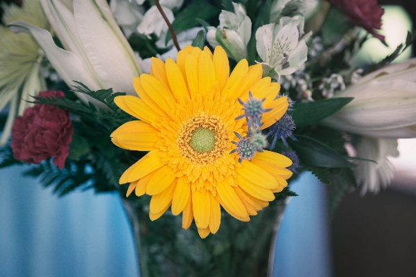 Plant flower petal bouquet Photo