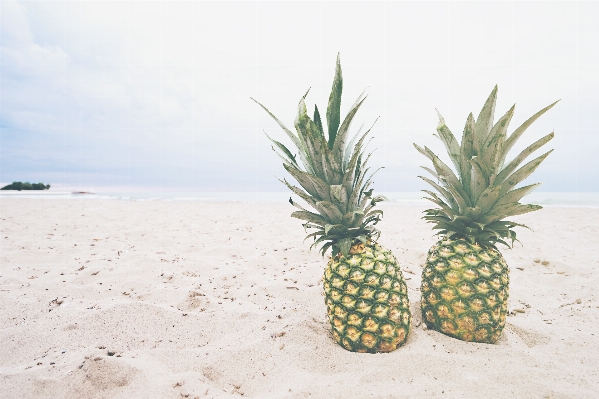 Foto Praia água areia plantar