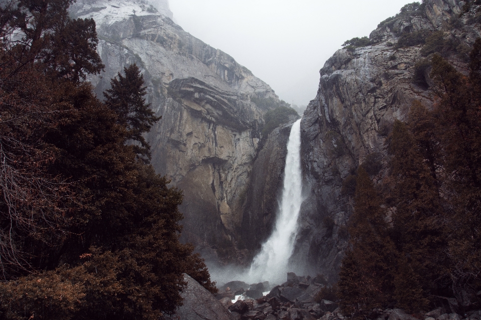 Baum rock wasserfall wildnis
