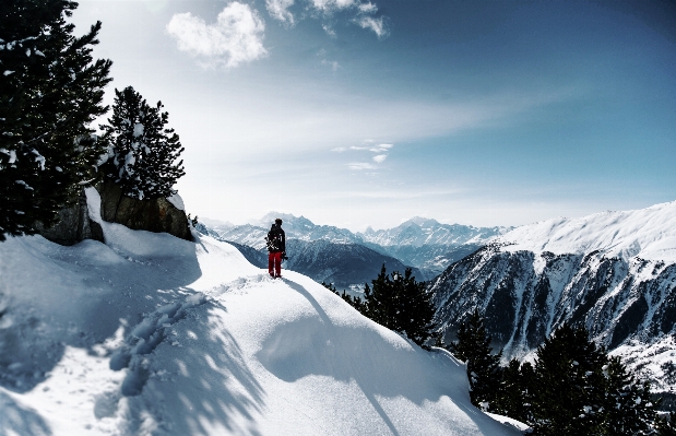 Foto árbol montaña nieve invierno