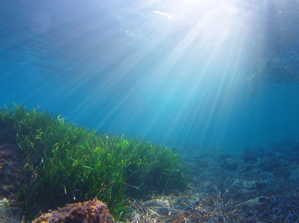 Sea ocean sunlight underwater