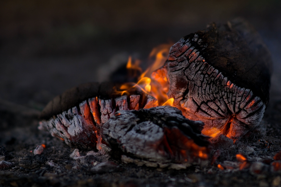 Autumn flame fire soil