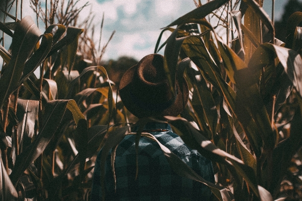 Man tree grass people Photo