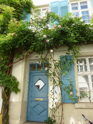 Foto Casa flor janela lar