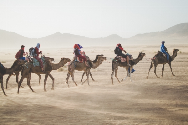 Landscape sand desert travel Photo