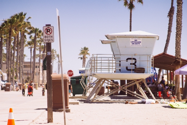 Beach boardwalk palm tree lifeguard Photo